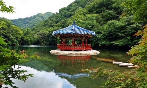 归芍六君丸的配方及功效-权威归芍六君丸适合哪类人群平台,分享专业归芍六君子丸的功效知识_归芍六君丸 药品说明书网